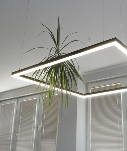 LINEA20_E7 