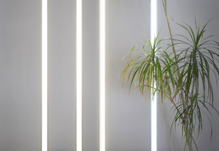 FLAT8_application_dracena_plant 